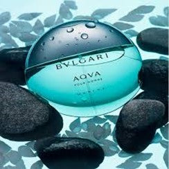 Inspired by Bvlgari Aqva Pour Homme EDT 100 ML